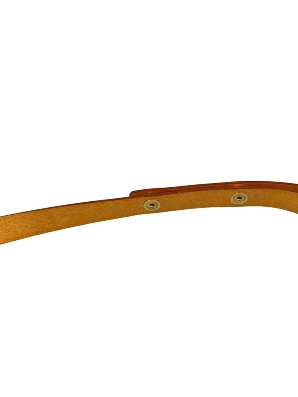 Louis Vuitton Waist Pouch Monogram Pochette Florentine